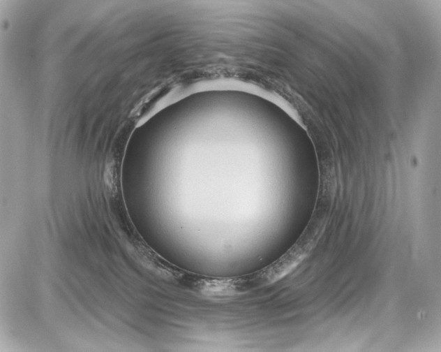 X0000087570088200705112223