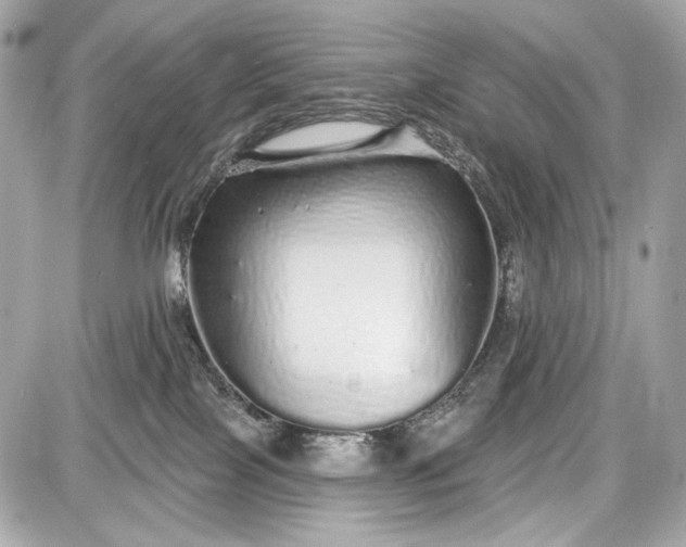 X0000087570089200705112223