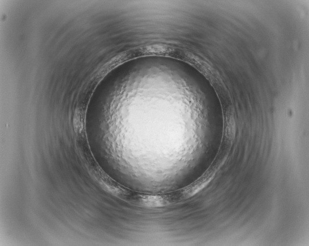 X0000087570091200705112223