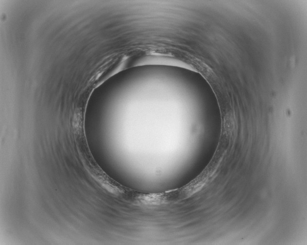 X0000087570092200705112223