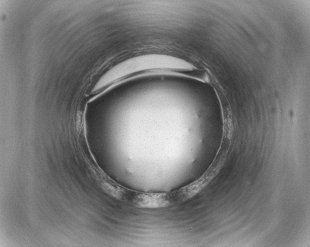 X0000087570093200705112223