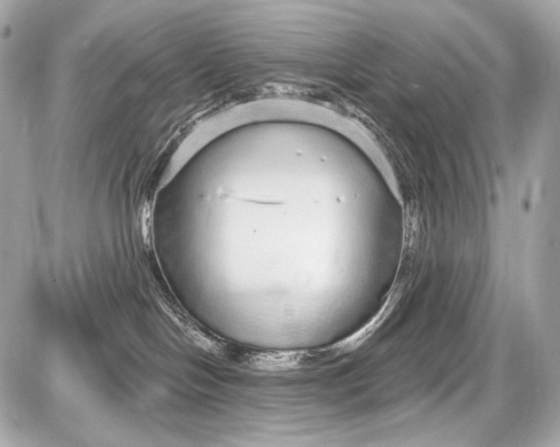 X0000087570094200705112223