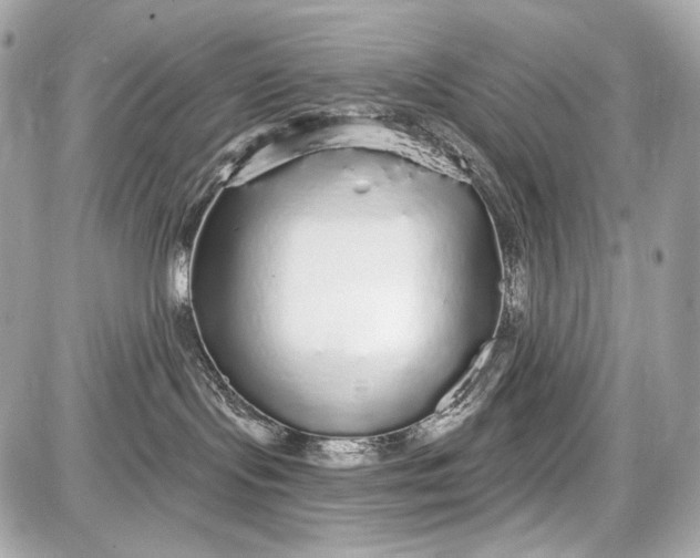 X0000087570095200705112223