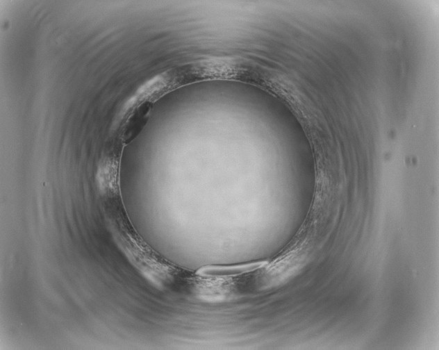 X0000087570096200705112223