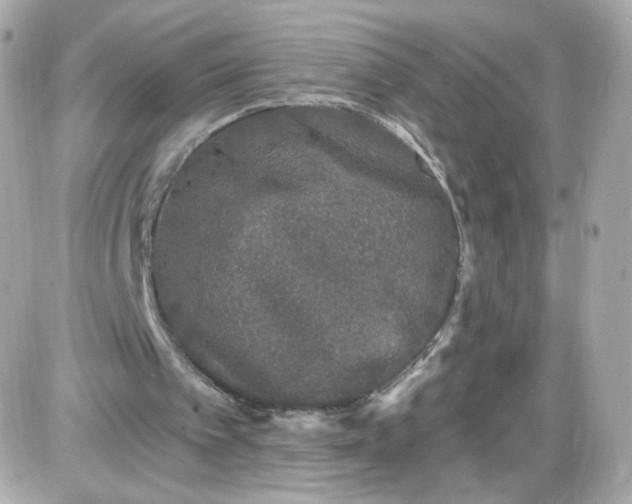 X0000087570097200705112222