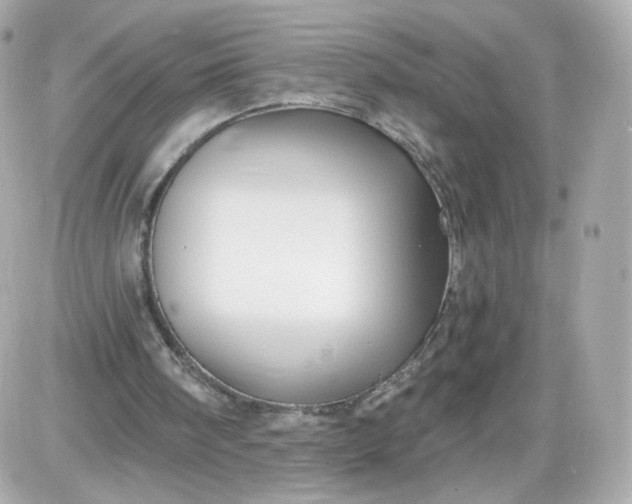 X0000087570098200705112222