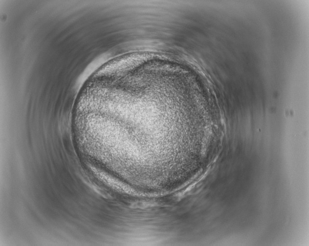 X0000087570099200705112222