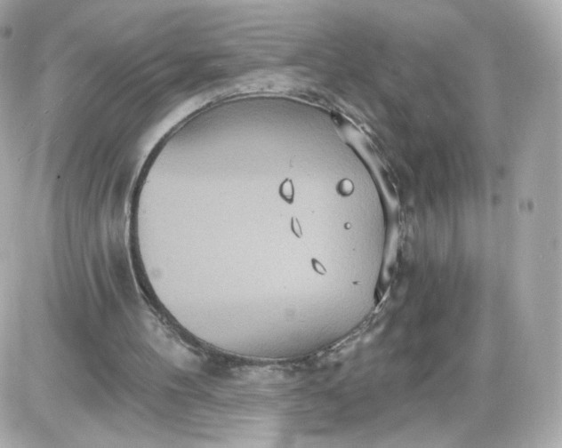 X0000087570100200705112222