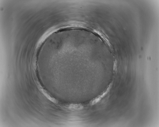 X0000087570101200705112222