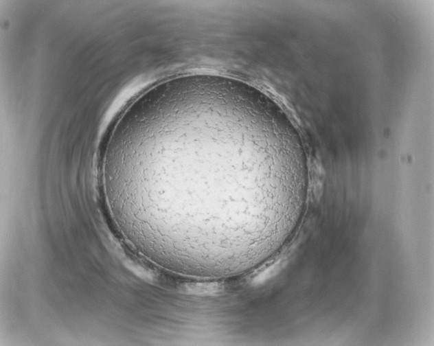 X0000087570102200705112222