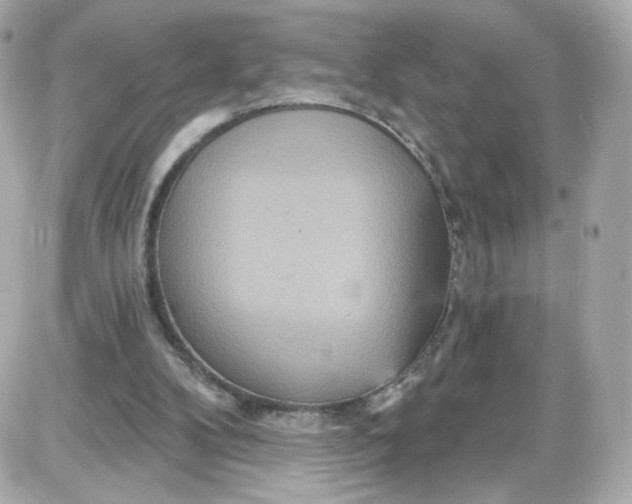 X0000087570104200705112222