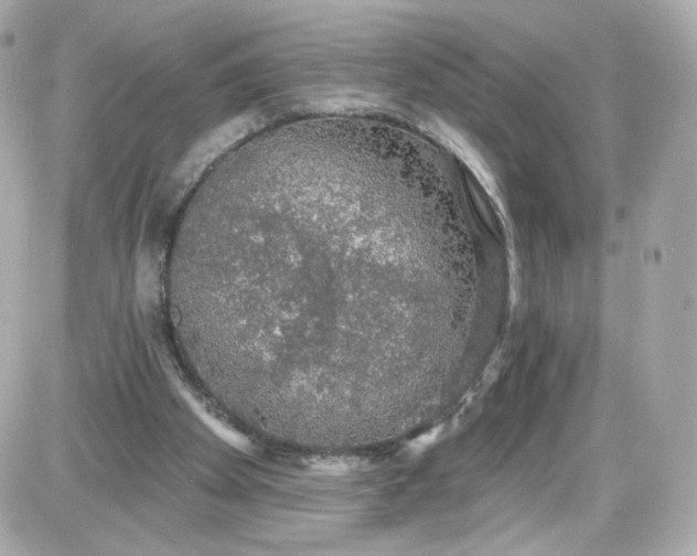 X0000087570105200705112222