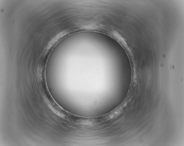 X0000087570106200705112222