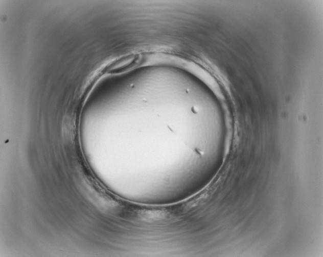 X0000087570107200705112222