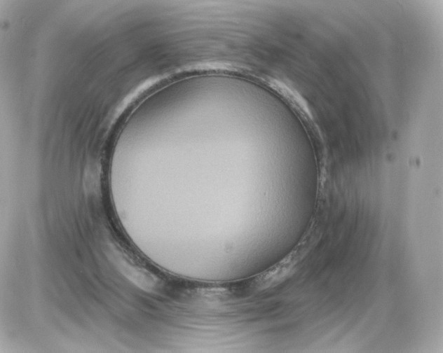 X0000087570108200705112222