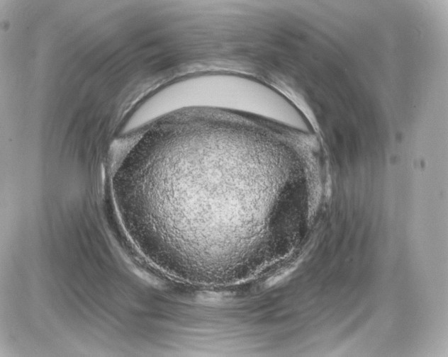 X0000087570109200705112222