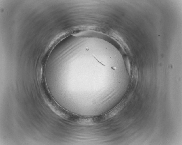 X0000087570110200705112222