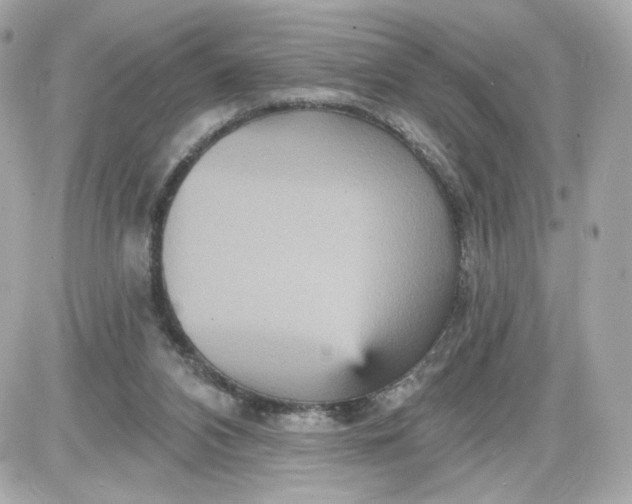 X0000087570112200705112222