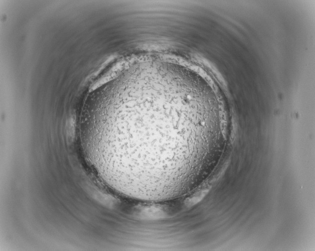 X0000087570113200705112222