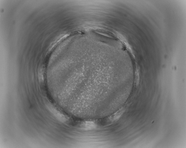 X0000087570114200705112222