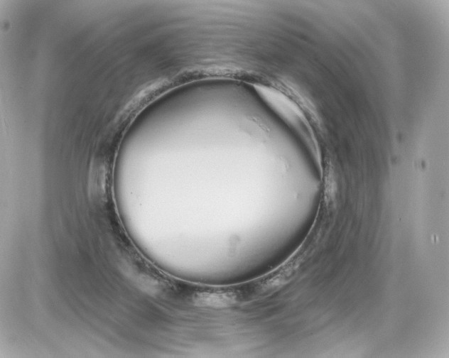 X0000087570115200705112222