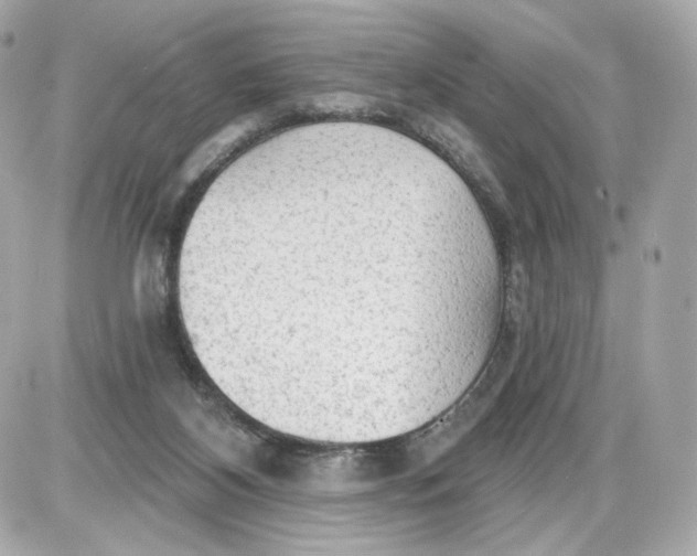 X0000087570116200705112222