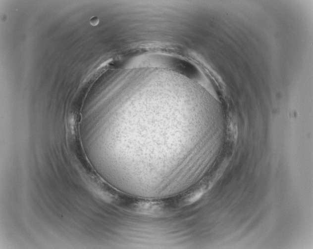 X0000087570117200705112222