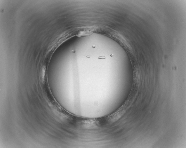 X0000087570118200705112222