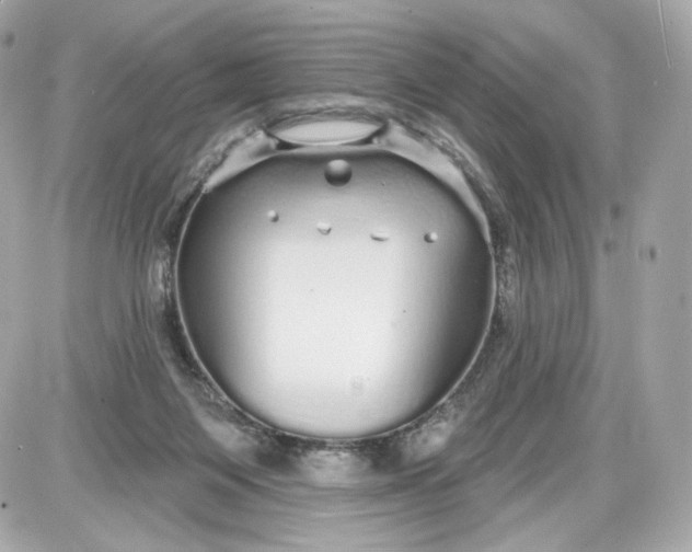 X0000087570119200705112222