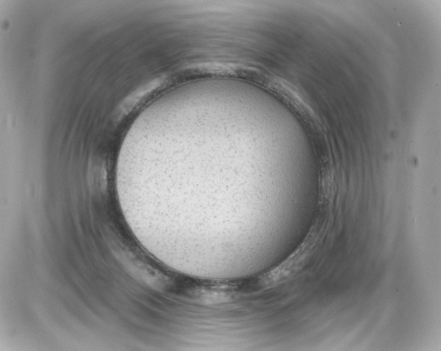 X0000087570120200705112222