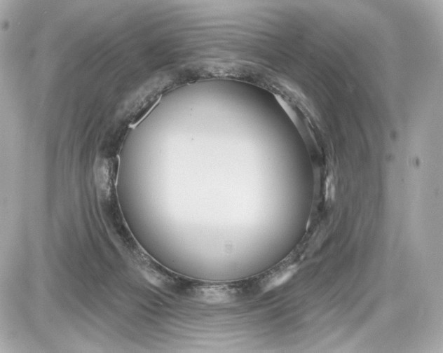 X0000087570121200705112222