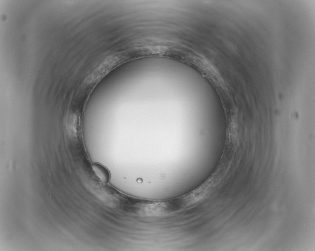 X0000087570122200705112222