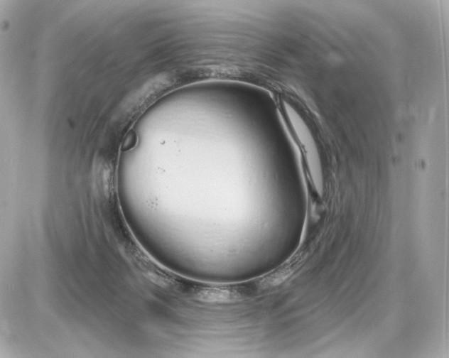 X0000087570123200705112222