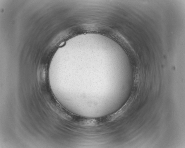 X0000087570124200705112222