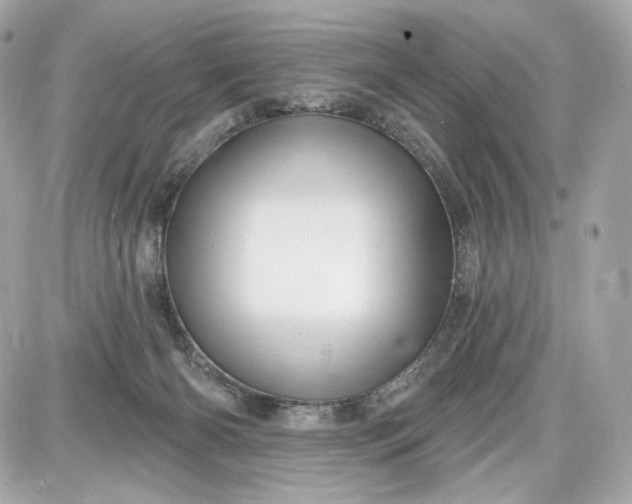 X0000087570126200705112222