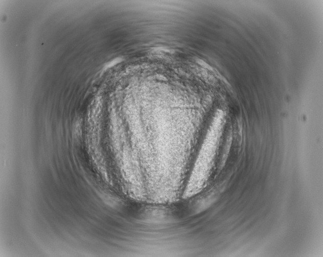 X0000087570127200705112222