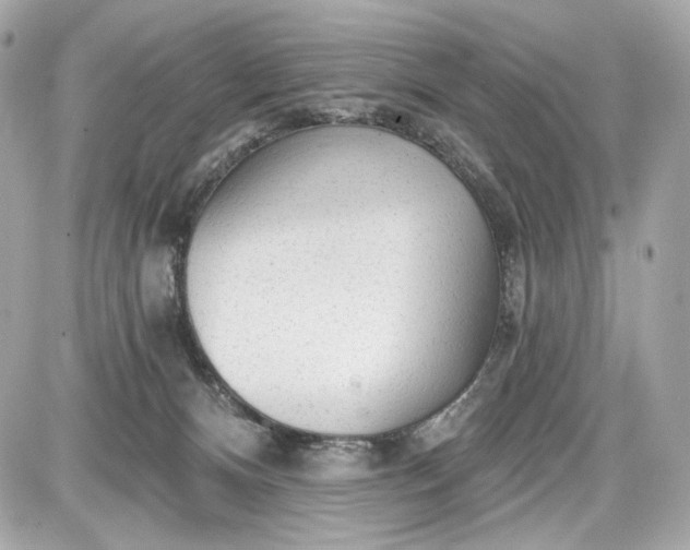 X0000087570128200705112222