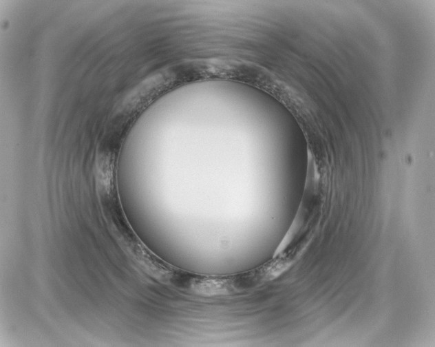 X0000087570129200705112222