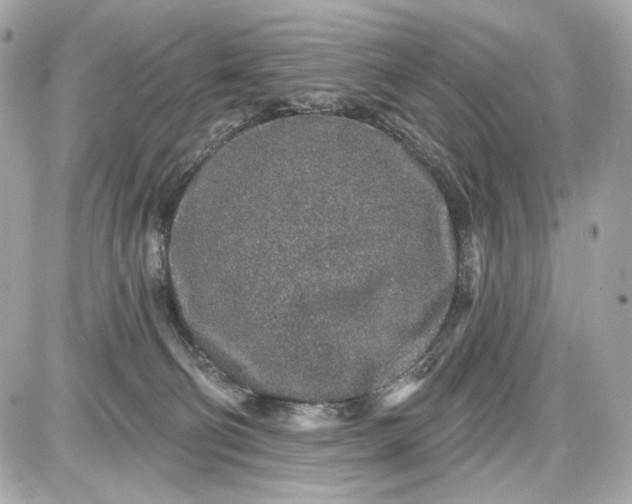 X0000087570130200705112222