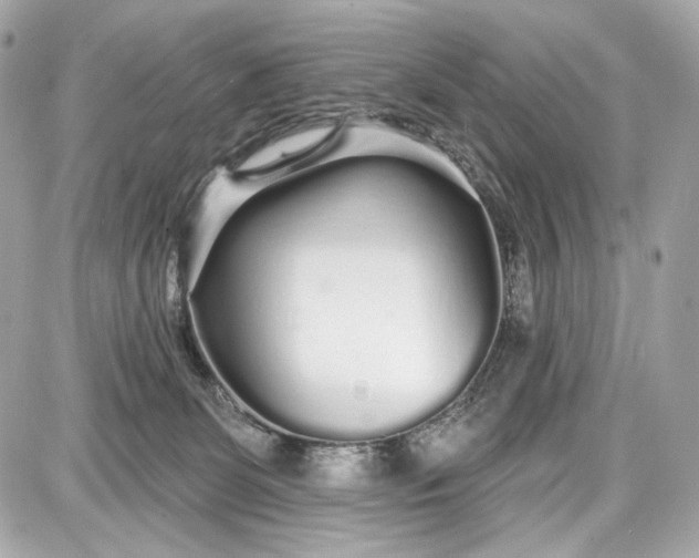 X0000087570131200705112222