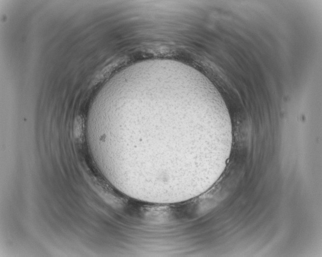 X0000087570132200705112222