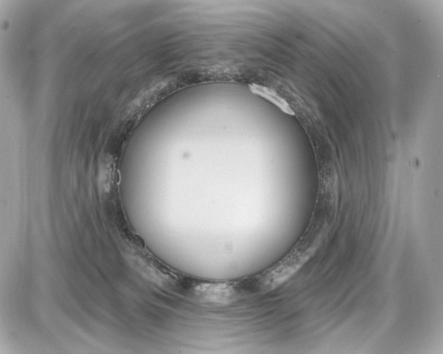 X0000087570133200705112222