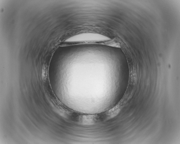 X0000087570134200705112222