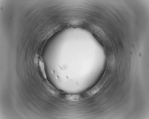 X0000087570135200705112222