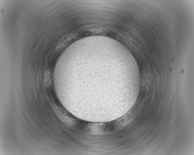 X0000087570136200705112222