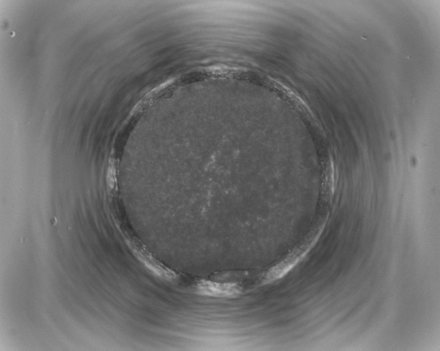 X0000087570137200705112222