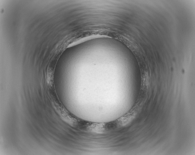 X0000087570138200705112222