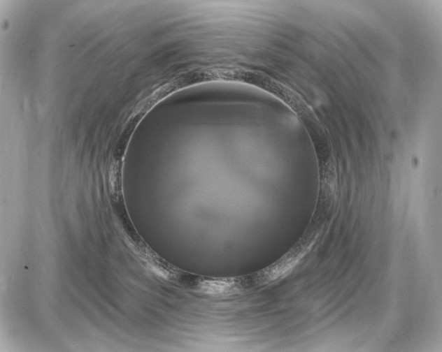 X0000087570139200705112222