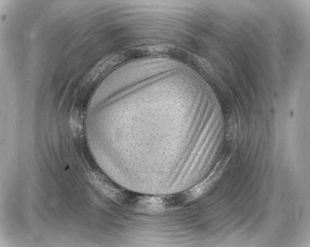 X0000087570140200705112222