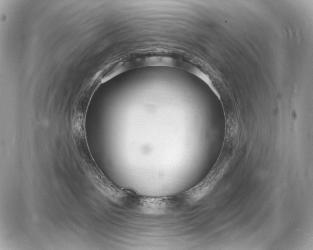 X0000087570141200705112222